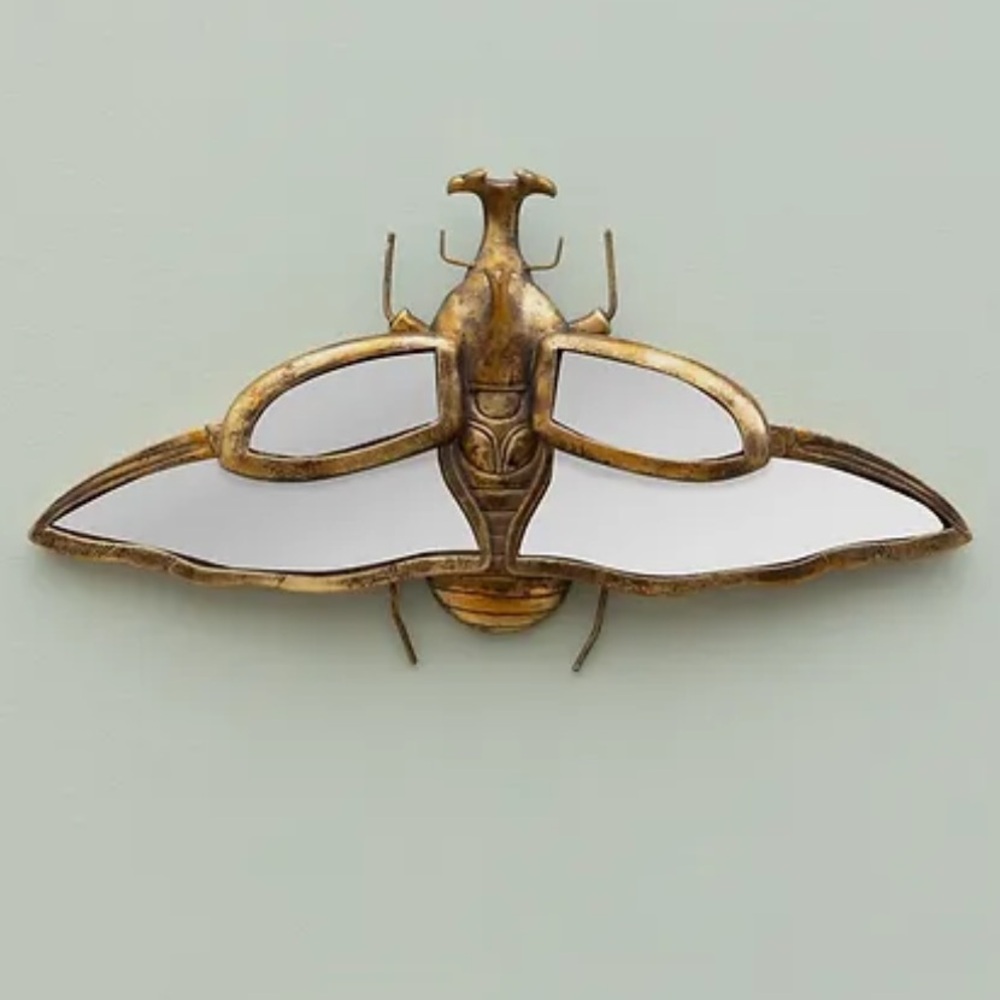 Rhino Beetle Mirror